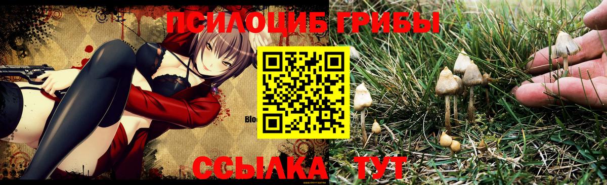 Галлюциногенные грибы ЛСД Волжск